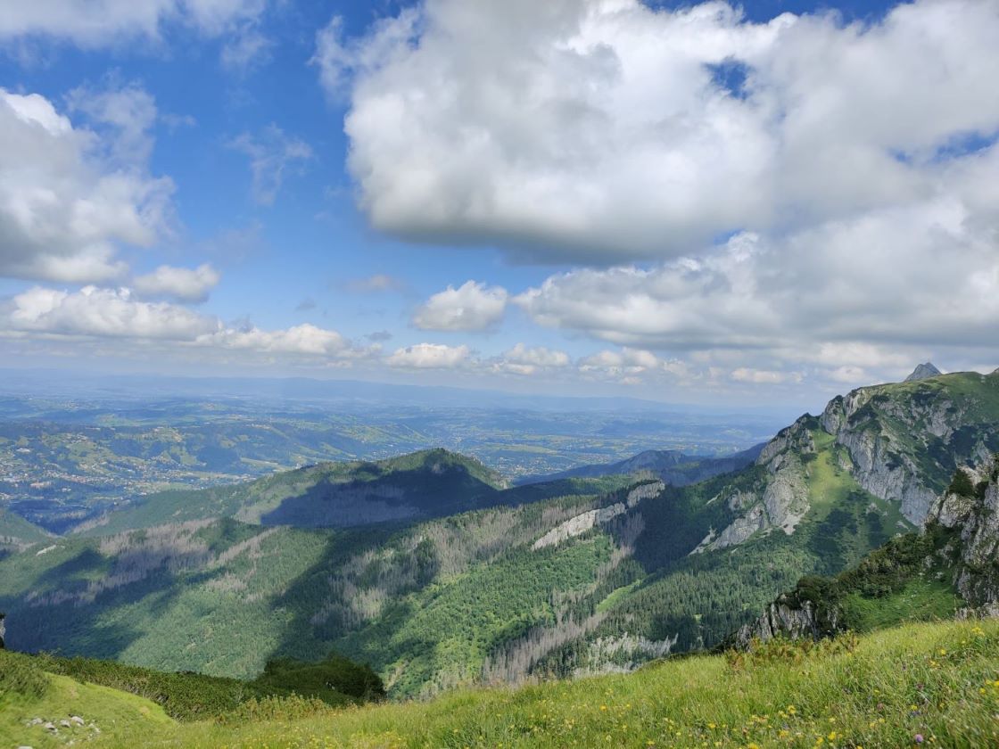 How it all got started